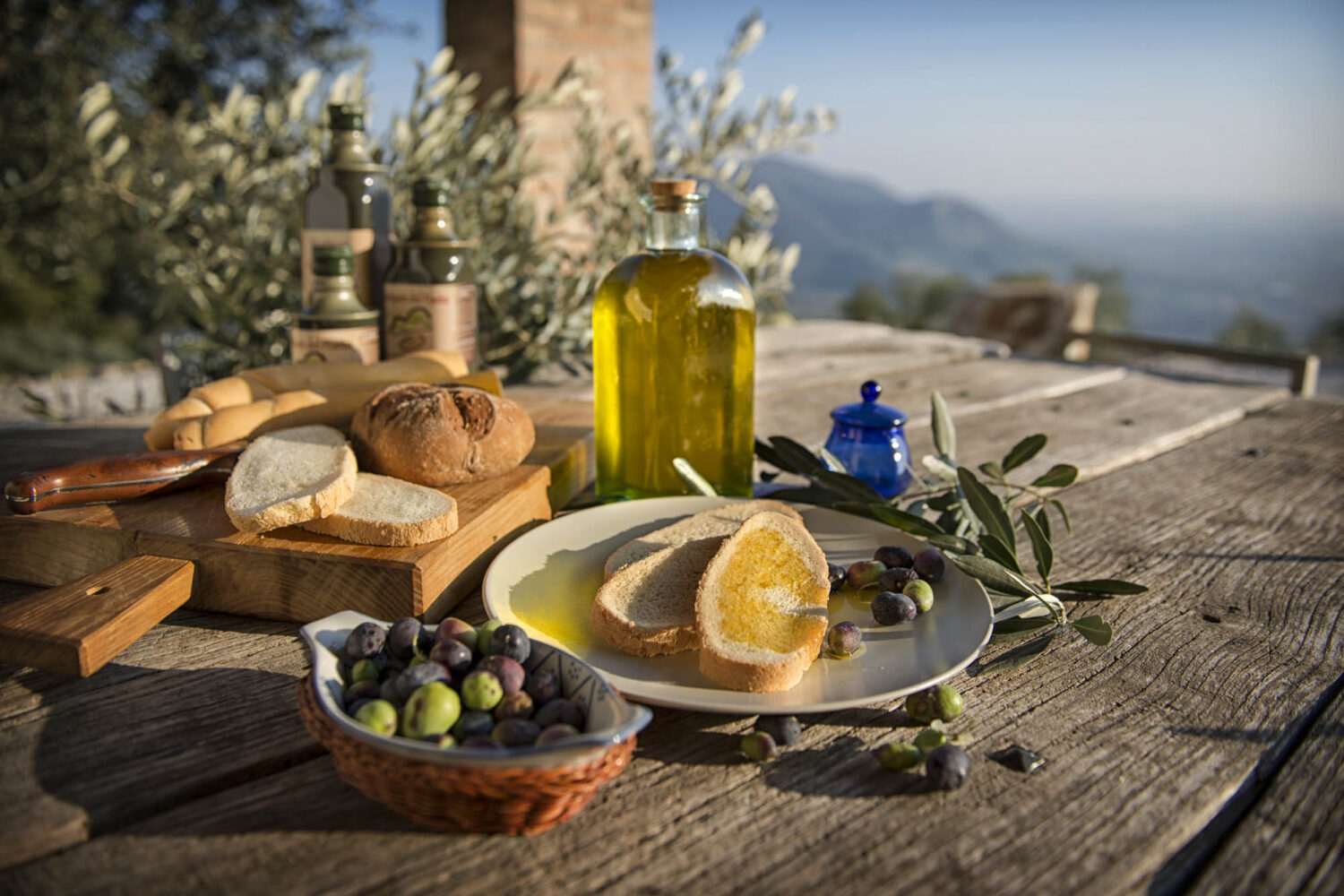 Degustazione di Olio di oliva dei Colli Euganei