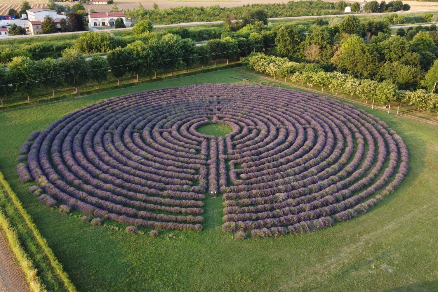 Labirinto di Lavanda in Veneto